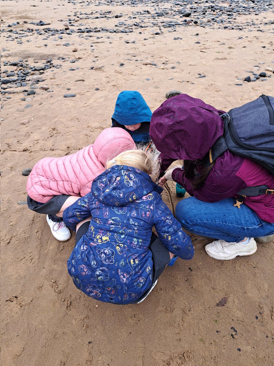 MythamPrimarySchool tweet media