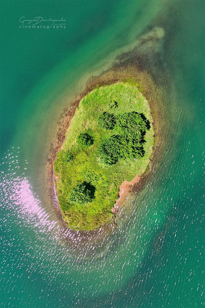 GeorgiosDi's tweet photo. Lake islet.. small in size but large in wildlife.. a  safe home for gulls, and grey herons.. still grab from a documentary film shoot
https://t.co/7UXg2Zqs0c
#documentary #film #biodiversity #environment #documentaryfilm #sustainability #swanseauniversity #photo #filming #lake https://t.co/INzf6R3Zca