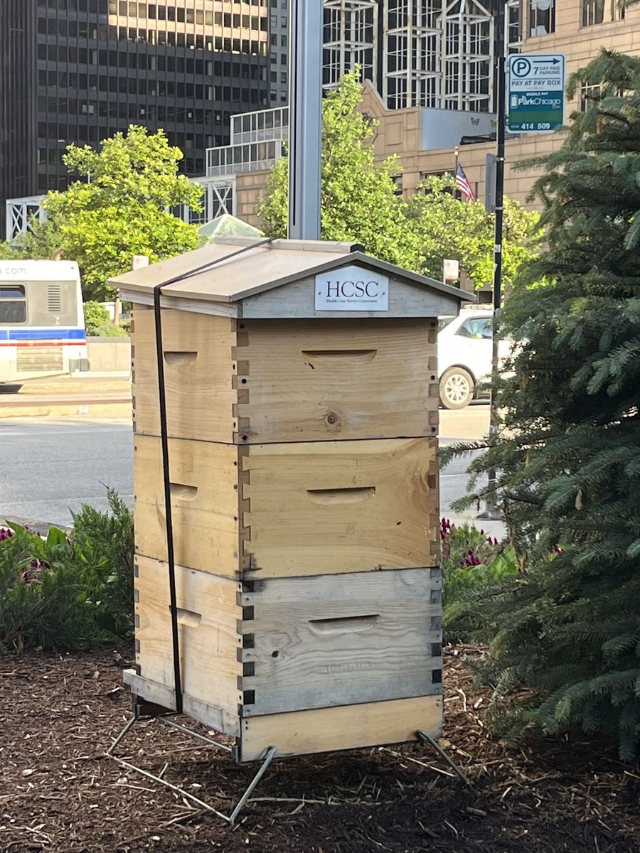 amy_ehrich's tweet image. Caught a buzz on the morning run. 🐝 #bees #catchabuzz #alveole