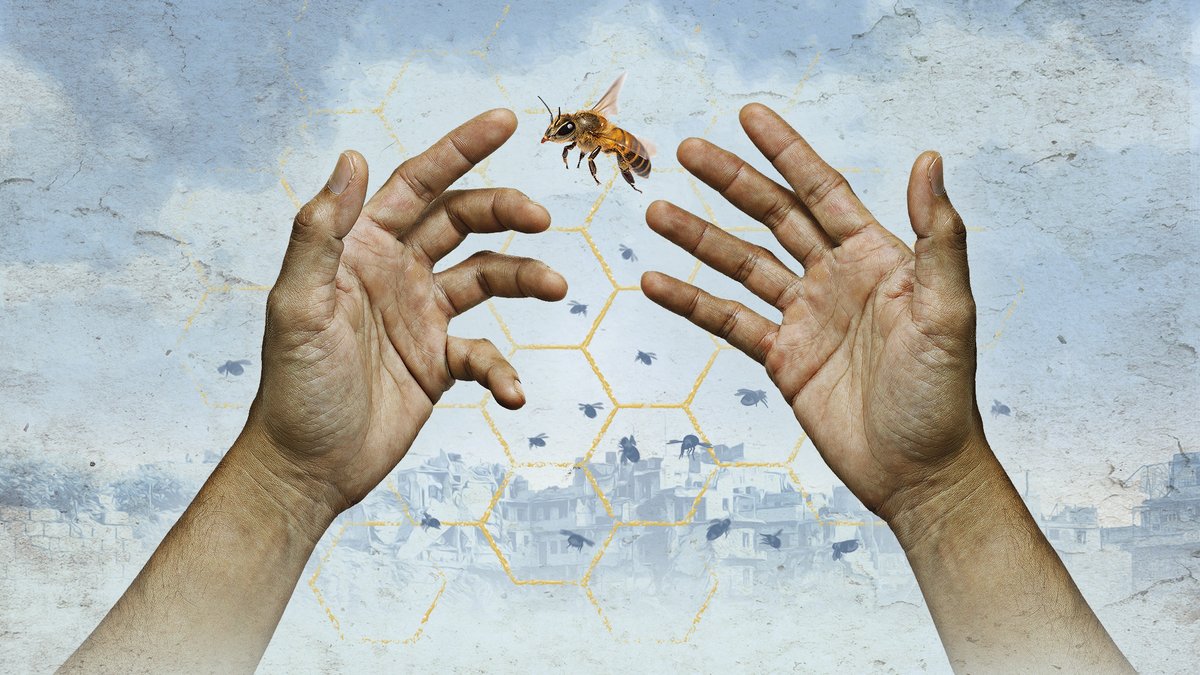 RichmondTheatre's tweet photo. Some good news! 📣 

We are pleased to announce that our audiences raised £6,013.22 for the Smile &amp; Olive Foundation (which helps displaced Syrian civilians) during performances of The Beekeeper of Aleppo in May. 

Thank you to all of our audience members for being so generous 👏 https://t.co/F6PIeWjrDC