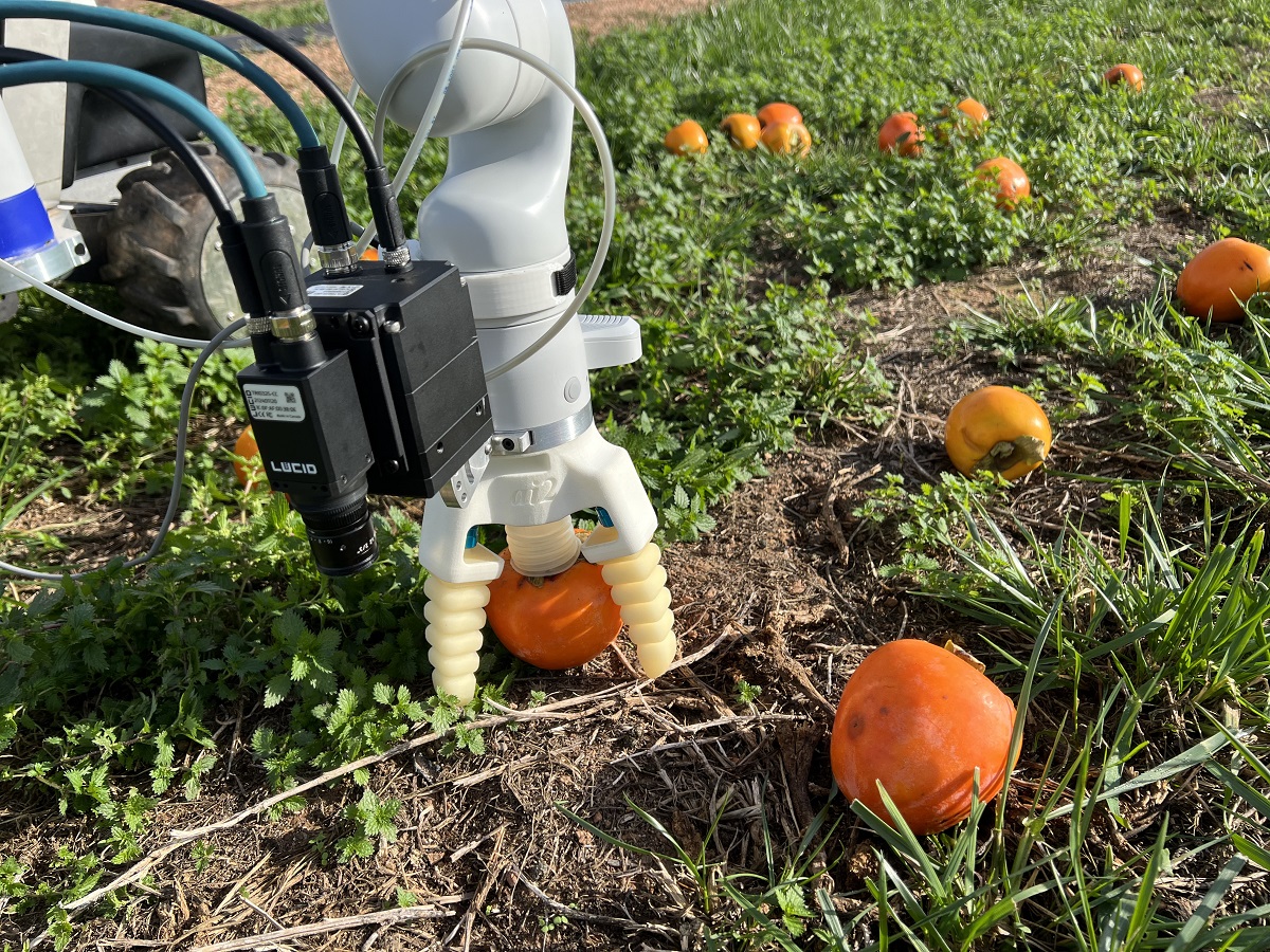 Fruchthandel Magazin tweet media