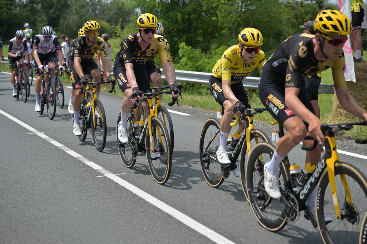 All in line for yellow 💛