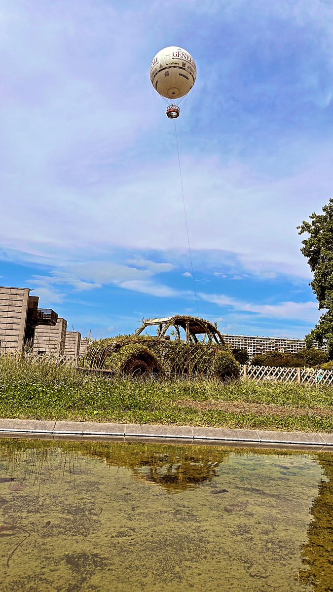 peeceful 🏴󠁧󠁢󠁷󠁬󠁳󠁿 tweet media