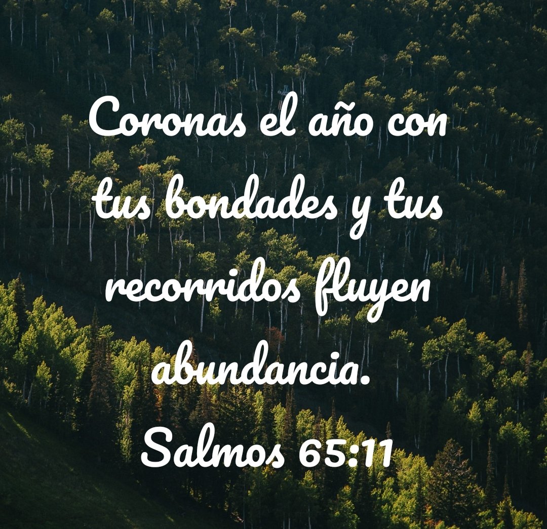 elva7310's tweet photo. La bondad y la misericordia de Dios para con nosotros la miramos en TODO,aquí se presenta en la naturaleza,su creación,él hace todo perfecto para sustentar a su pueblo.Él te ama y quiere lo mejor para ti.
Te perdona, te escucha,por eso alabale! 
#Salmo65 #rpsp #MiBibliaDice https://t.co/klPK43Pc82