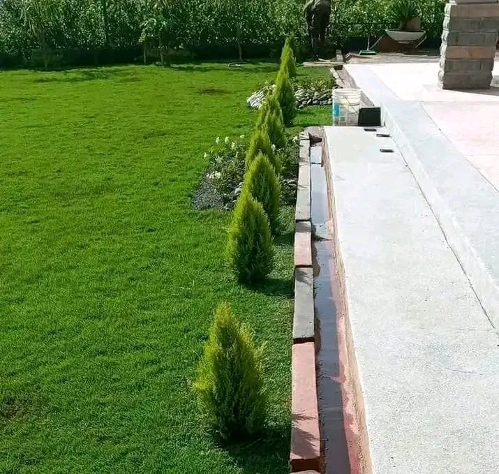 Your compound's beauty is our pride
For all your landscaping services &amp; materials, just contact 0729223329 Brigadier K.O Landscapers Kenya.

Nairobi CBD Raila Odinga Wakadinali Butita Catholic Martha Karua Gachagua Joseph Kariuki Nakuru Njugush Malala Ruto #Maandamano NHIF Azimio