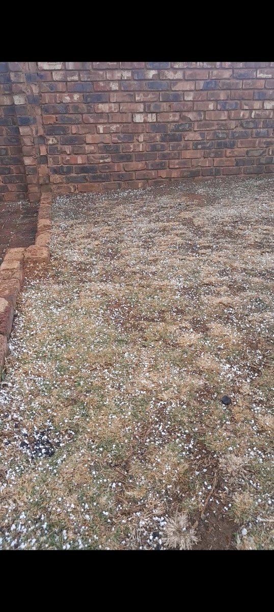 SilverFox12578's tweet photo. ITS SNOWING!!!!!!! https://t.co/QHrRMHbiwt