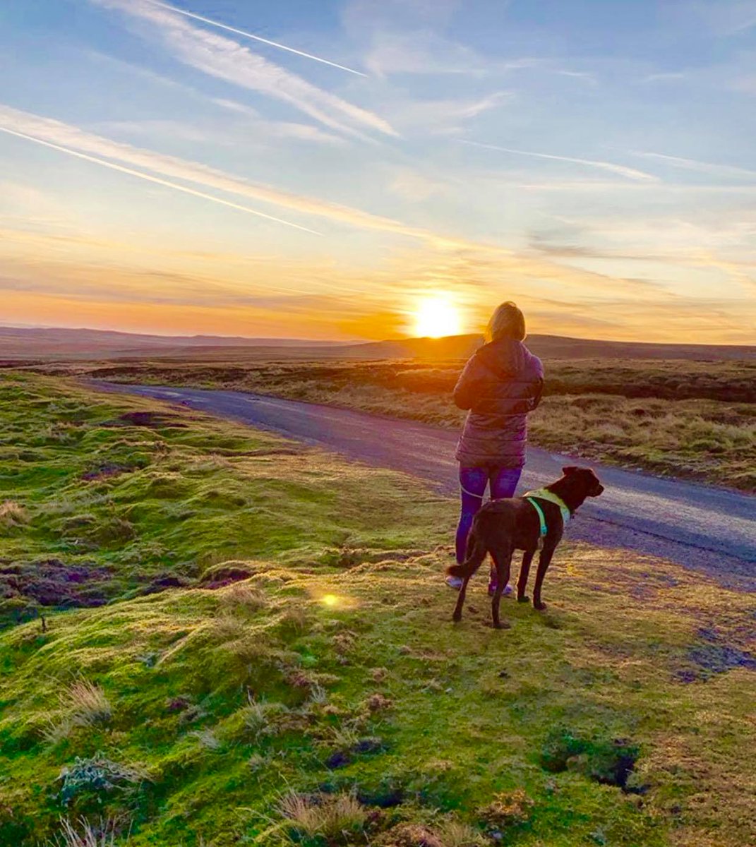 Enjoy the Sunset with your Furry Friend 🐾 🐶 #TanHillInn #walks #DogWalk