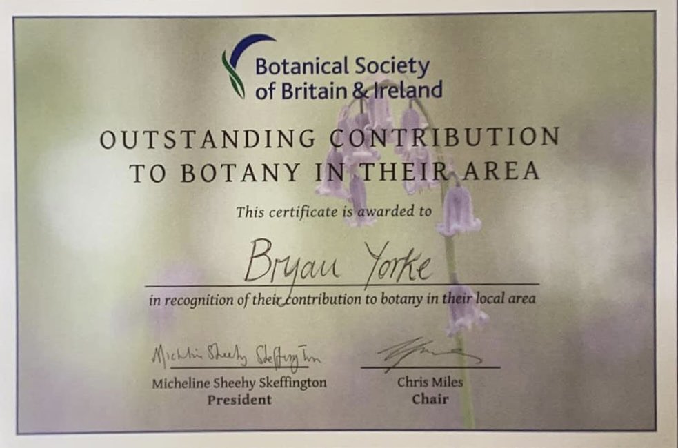 thenewgalaxy's tweet photo. It’s been lonely visiting #HuttonRoof recently, and I think of @BryanYorke every time. It’s because of Bryan that I ever went in the first place - and great to see that he’s been recognised for his contributions to botany by @BSBIbotany following his nomination by @dunnjons https://t.co/HjwLZAo83h