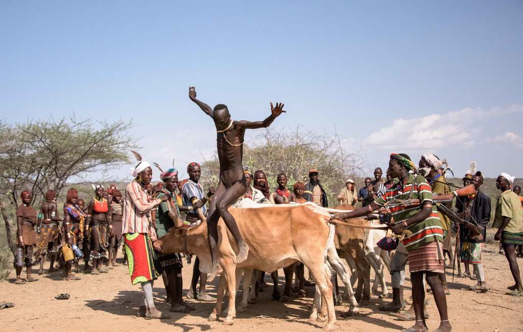 Serious Africans: Among the Hamer people of Ethiopia’s Omo Valley, boys have to jump over cattle – NAKED no less - to become men. They have to run on the back of 7 or 10 bulls four times without falling. The bulls are smeared with dung to make them slippery. If he fails in the