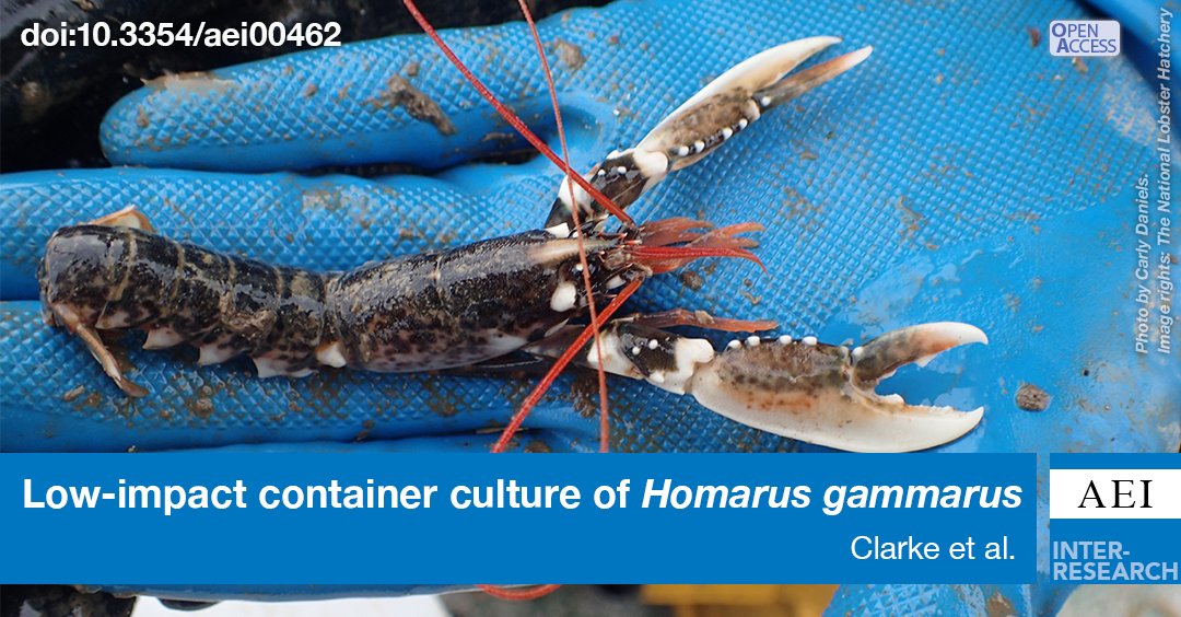 Exciting news! First paper from Lobster Grower 2 published. As part of LG2, our researchers investigated the impact of sea-based container culture (SBCC) of lobsters on the local ecology of the study site in St Austell Bay, Cornwall. Read more about it! bit.ly/aei_15_215