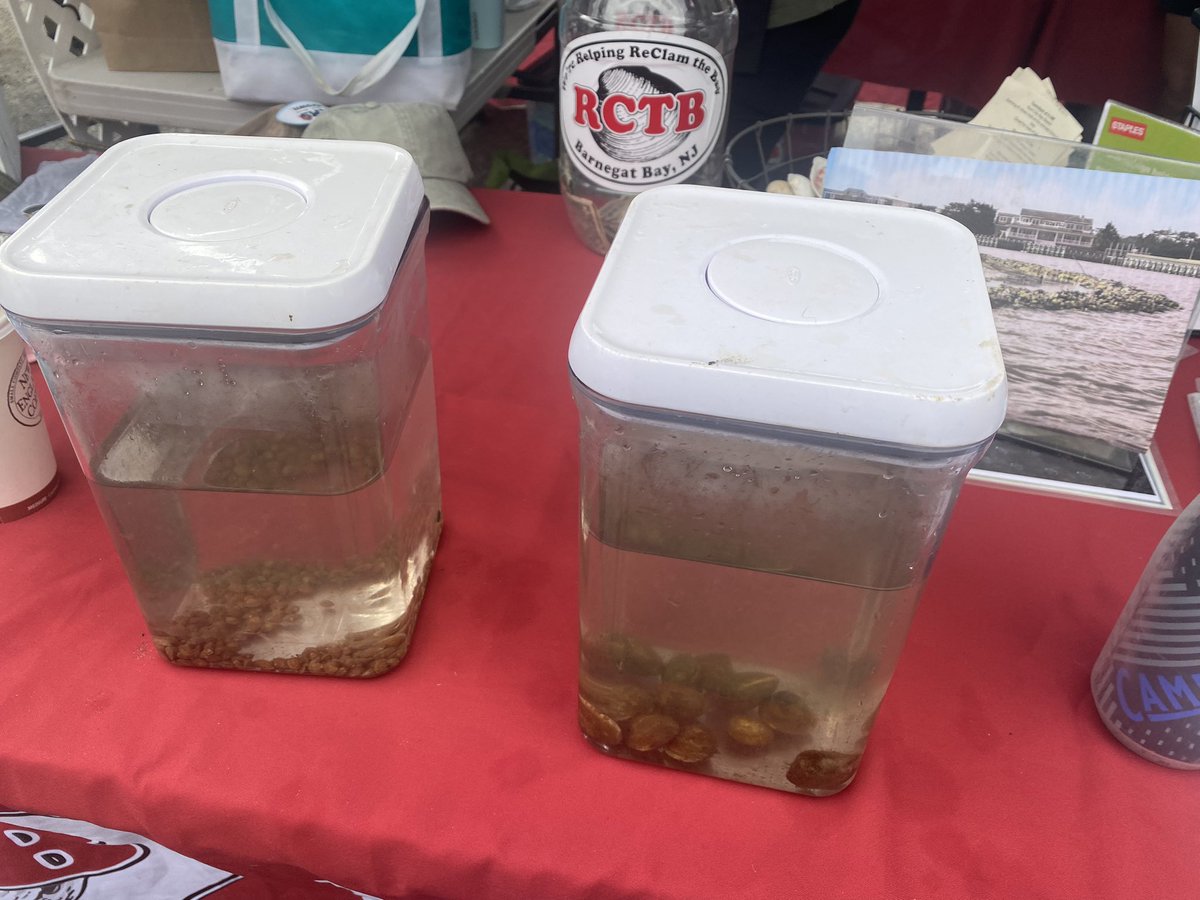 #ReClamTheBay is here at the Surf City Farmers Market until noon. So come by and drop a few clams to help keep Barnegat Bay clean.