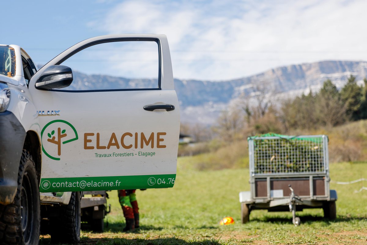 Elacime tweet media