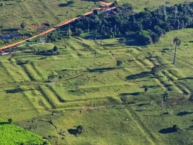 Here's where it gets weird: 3-6 thousand years ago the Amazon rainforest  didn't exist as we know it. It was a dense, nearly impenetrable bamboo  forest. Then a group of people entered