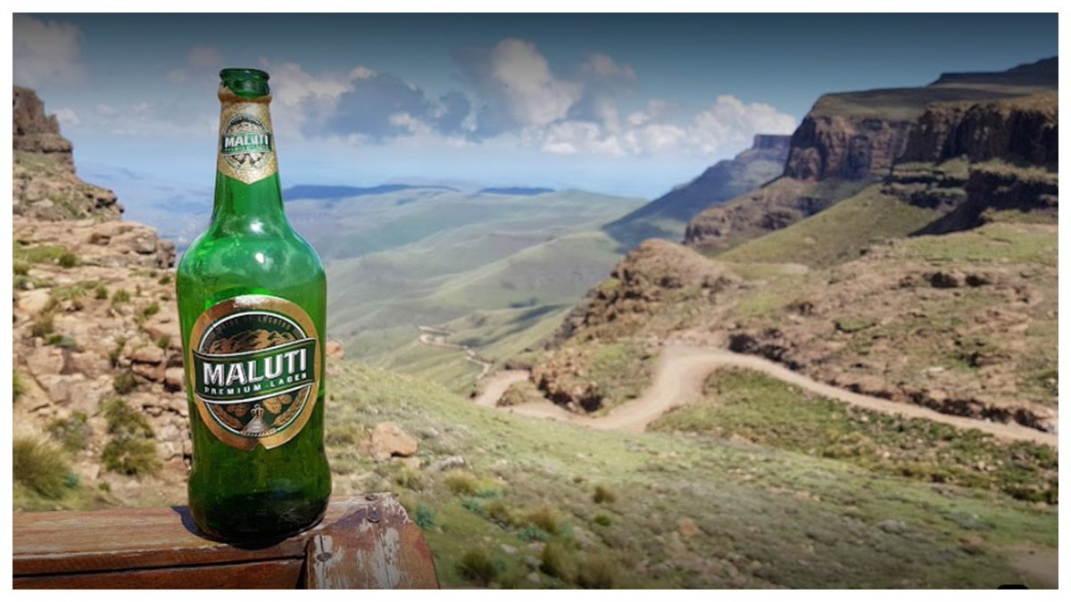 Major Adventures tweet media