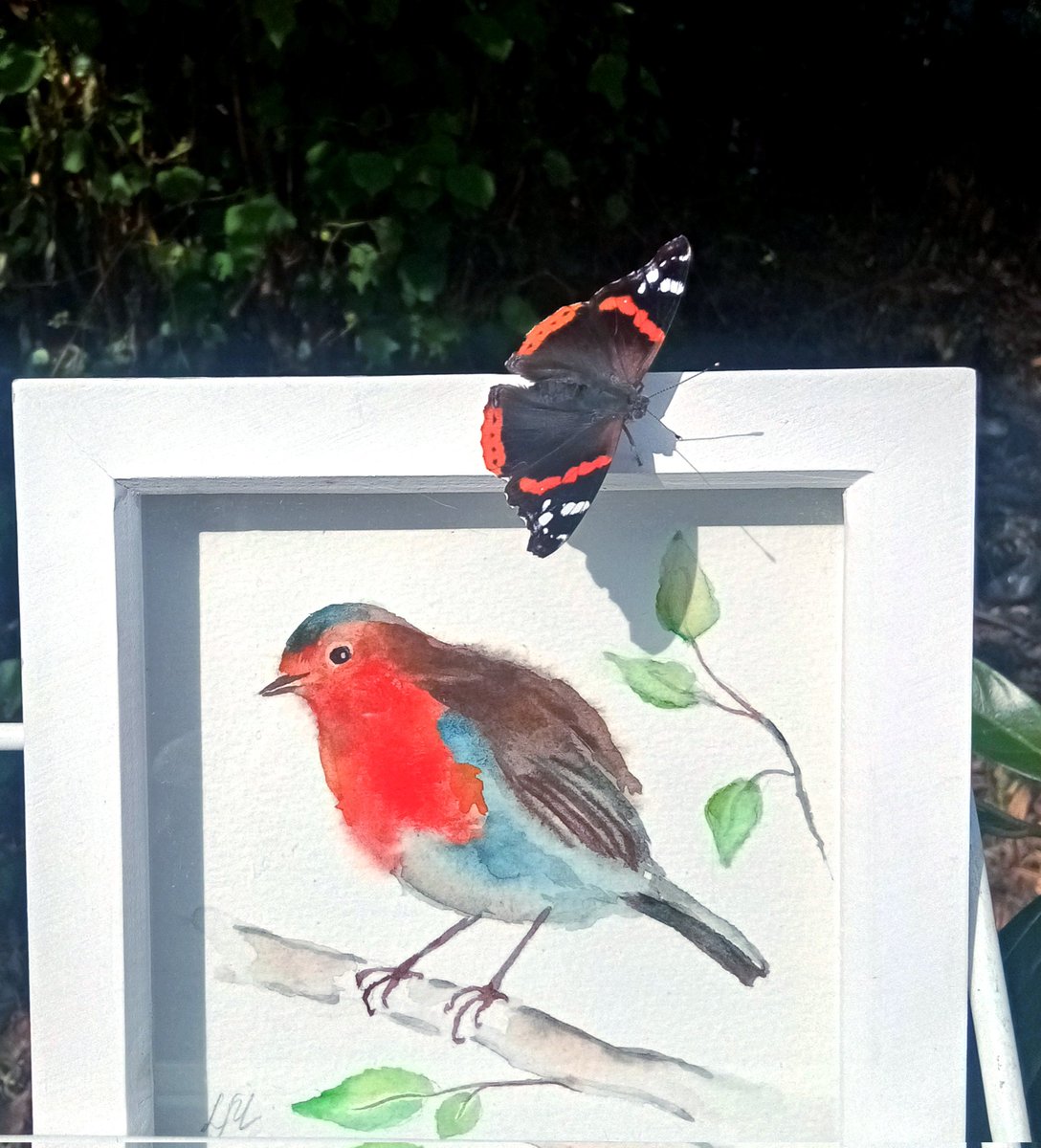 🦋 still-and-real-life

#urbanart
#originalartwork 
#watercolourpainting 
#butterfly