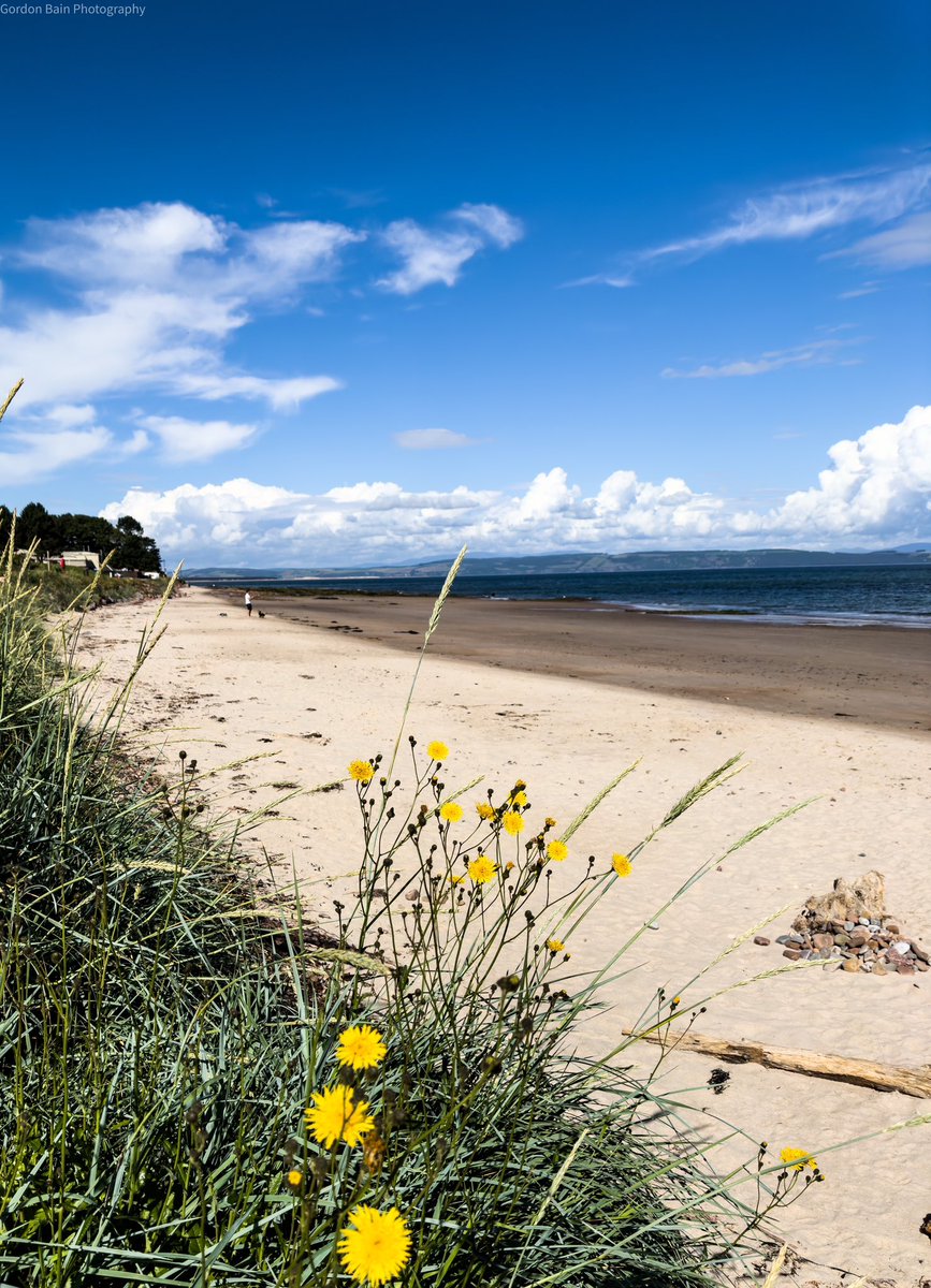 Gordon Bain (@gordiebain) on Twitter photo Glorious Nairn Beach !
<a href="/BBCWthrWatchers/">BBC Weather Watchers</a> <a href="/BBCScotWeather/">BBC Scotland Weather</a> <a href="/SeanBattyTV/">Sean Batty</a> <a href="/nairnbookshop/">Nairn Bookshop</a> <a href="/VisitScotland/">VisitScotland</a> Glorious Nairn Beach !
<a href="/BBCWthrWatchers/">BBC Weather Watchers</a> <a href="/BBCScotWeather/">BBC Scotland Weather</a> <a href="/SeanBattyTV/">Sean Batty</a> <a href="/nairnbookshop/">Nairn Bookshop</a> <a href="/VisitScotland/">VisitScotland</a>