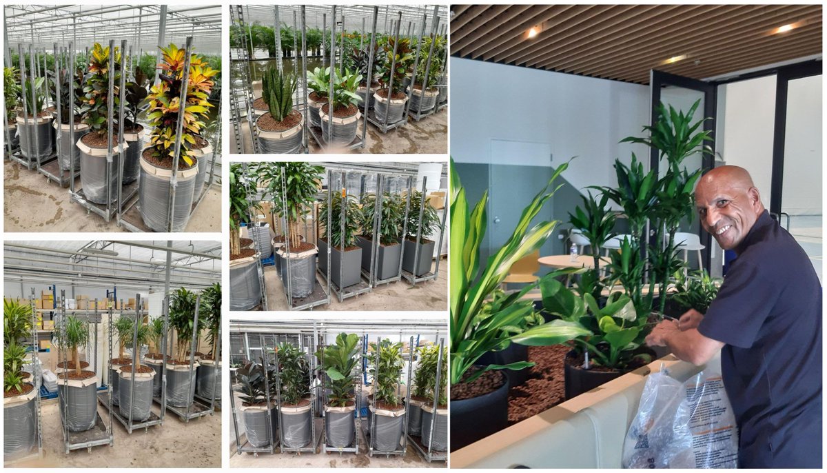 UW Flora heeft planten geleverd bij 2 mooie klanten. Bij ons collega-bedrijf Biga Groep hebben we 50 bakken met planten geplaatst. Bij Sportcentrum Galgenwaard hebben we grote plantmeubels gevuld met planten. We verzorgen ook het maandelijkse onderhoud van de planten. Mooi werk!