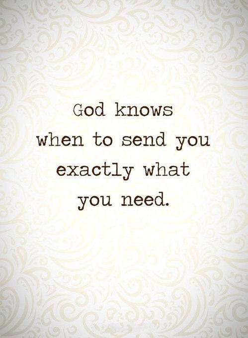 MindUnleash_'s tweet image. Trust God