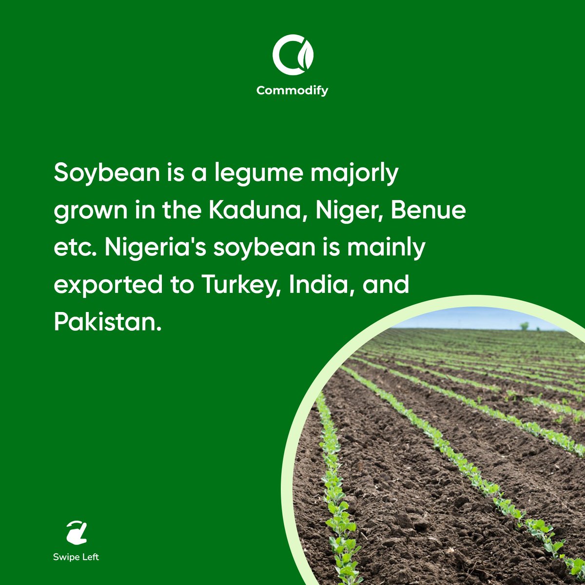 commodifyafrica's tweet photo. Commodify provides quick collateral-free solutions for Agro-commodity exporters in a cost-effective and digital way.

Sign up on https://t.co/plbcsXaYOg for your export financing needs. https://t.co/JGoOcq7wY9