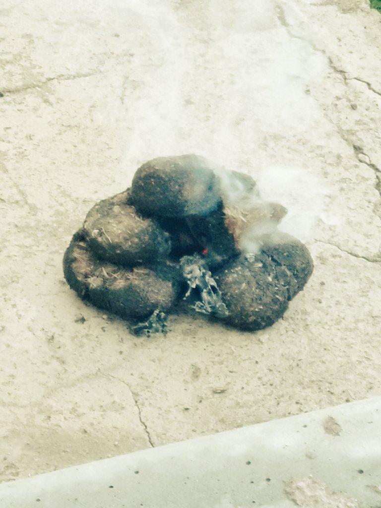 Tuvshinjargal (@tuvshin_mass) on Twitter photo 