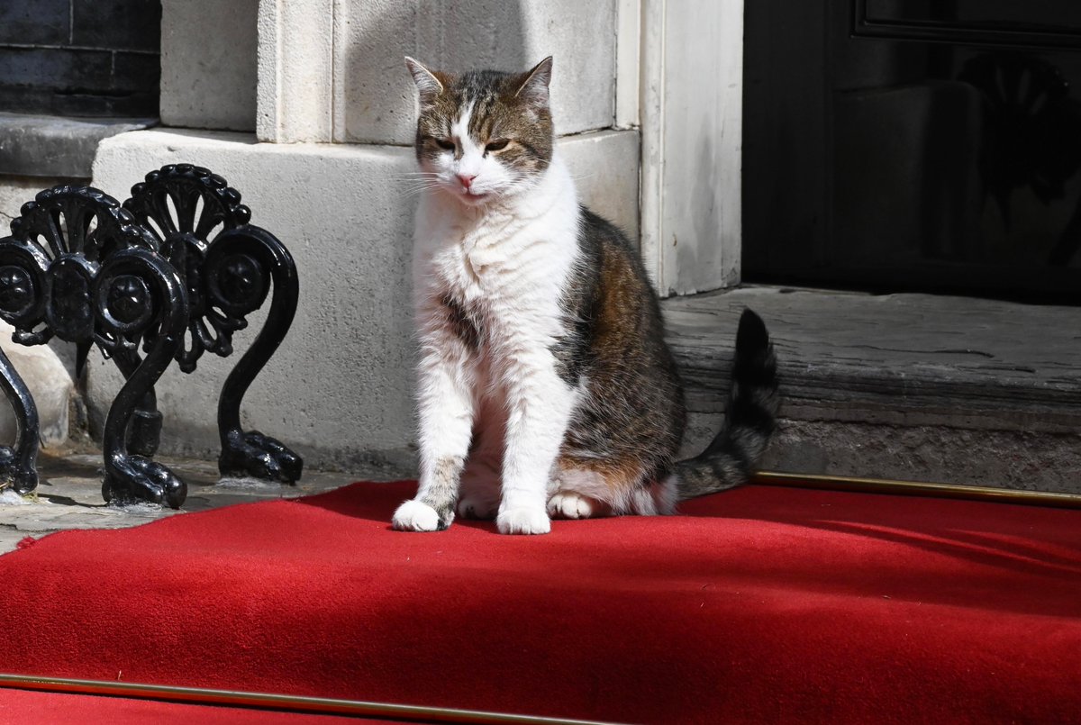 PoliticalPics's tweet photo. Dear Larry @Number10cat one happy grand Boy ! https://t.co/uIirGwbcns