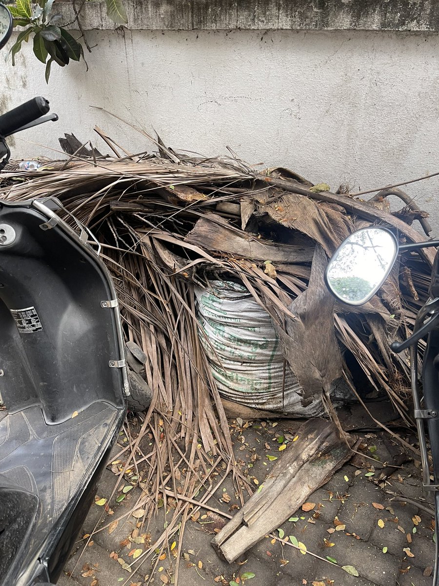 RakeshUmarani's tweet photo. Odour, insects. Hindrance to the P1 P2 parking as well. Please look into this. Location- Bhonde Colony, Erandwane 
@PMCPune https://t.co/T7o4G7Qzo0