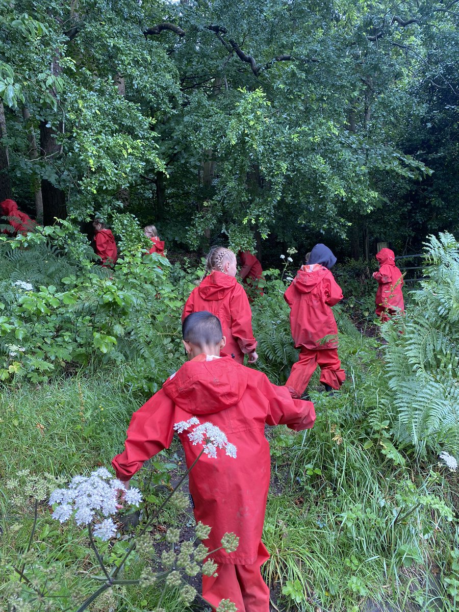 Castleway3's tweet photo. We are on our way to build the best woodland dens! 🌳 #WeAreInNature #WeAreDenBuilding #Year2Residential #Burwardsley @WeAreCastleway @conwaycentre 🌈 https://t.co/GcTUgR5luz