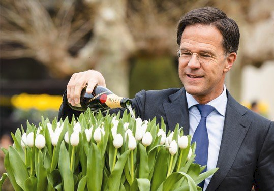 'Finally I can go back to frugal gardening!'
#Rutte #Rutte4Exit