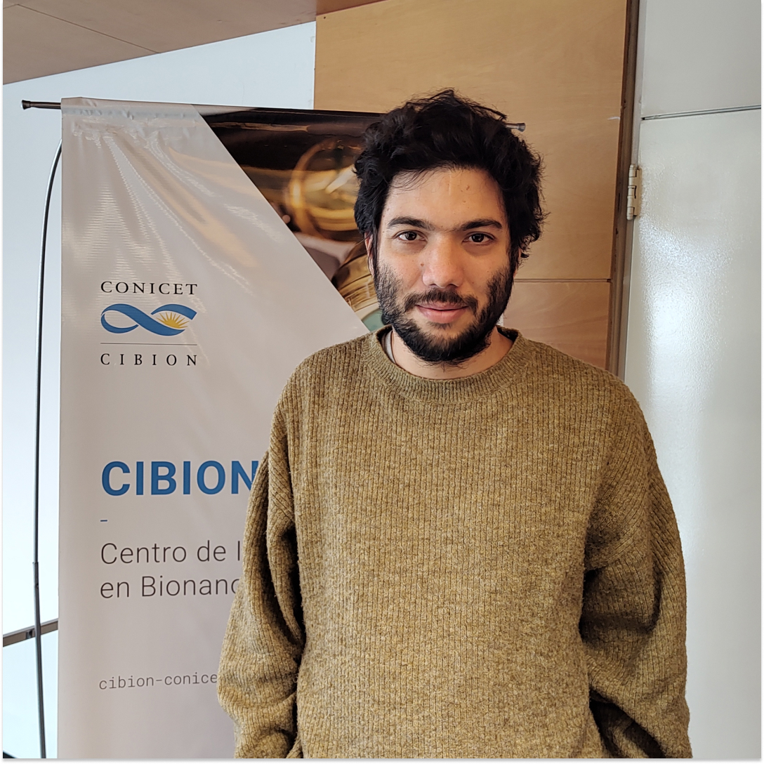 Centro de Investigaciones en Bionanociencias tweet media