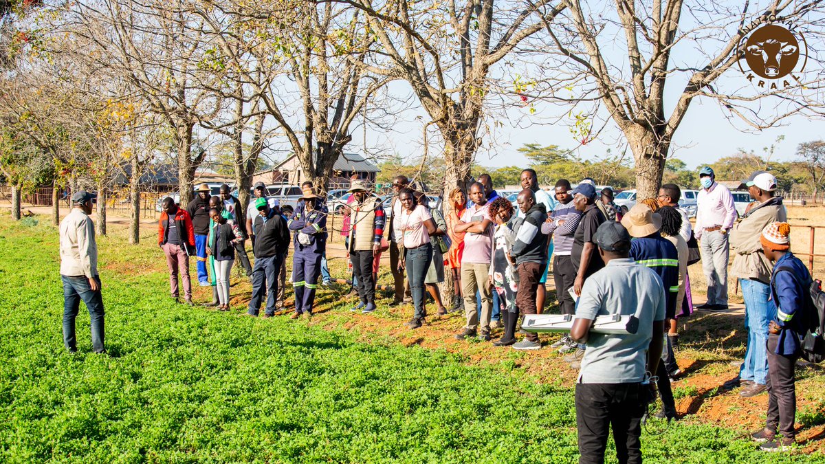 National Kraal tweet media