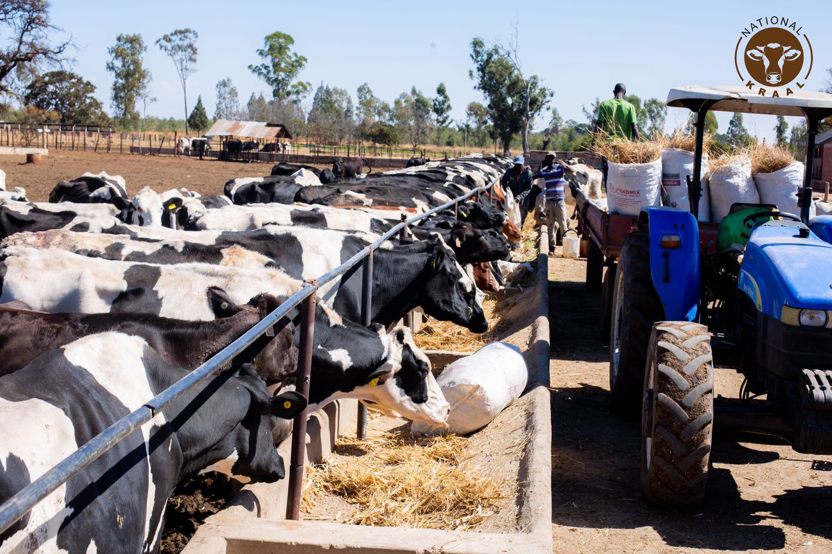 National Kraal tweet media