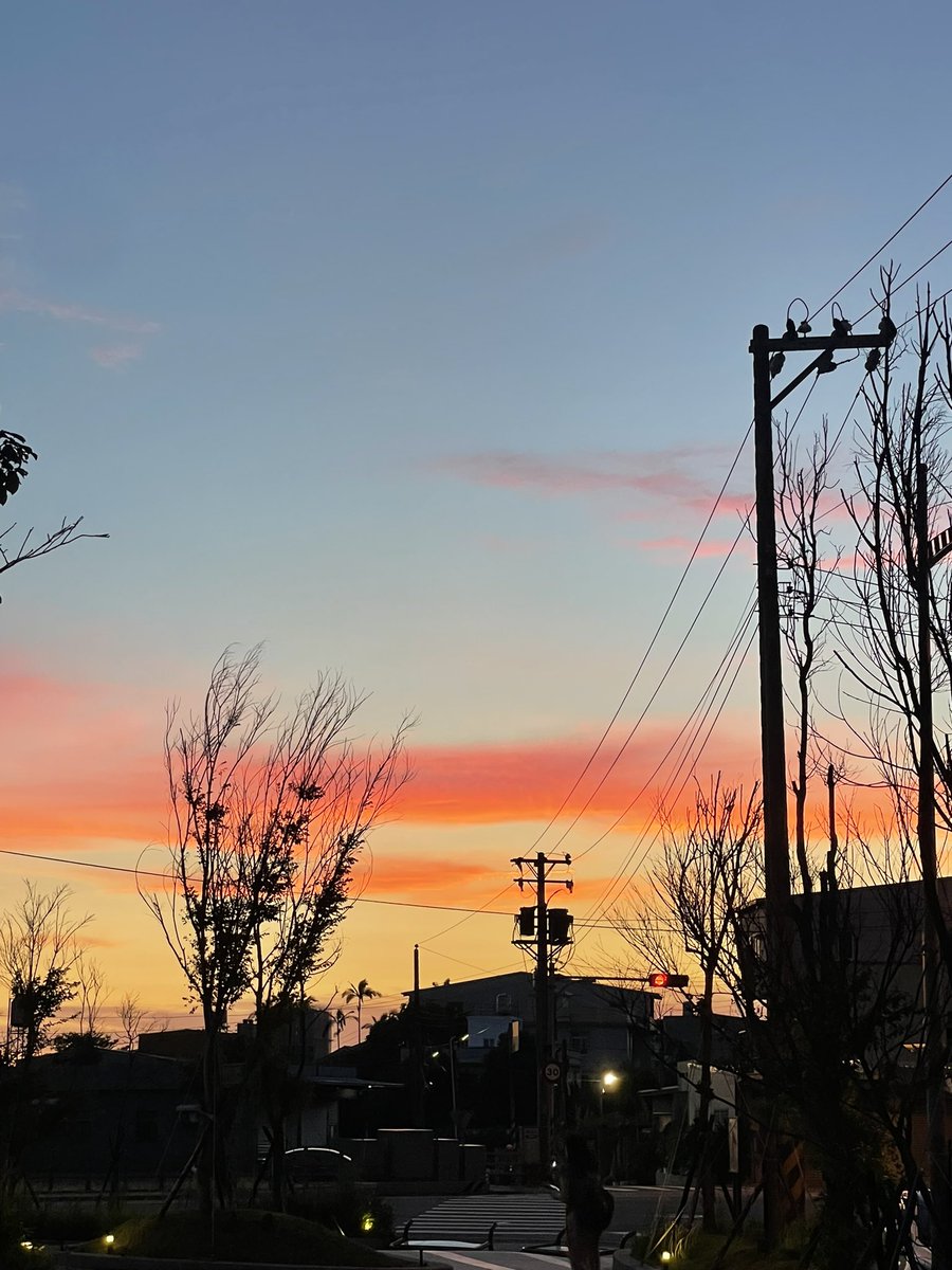 懶羊羊🌙 tweet media