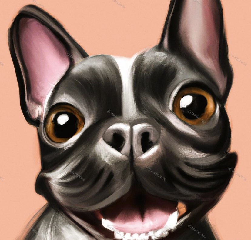 lnstadogs tweet picture