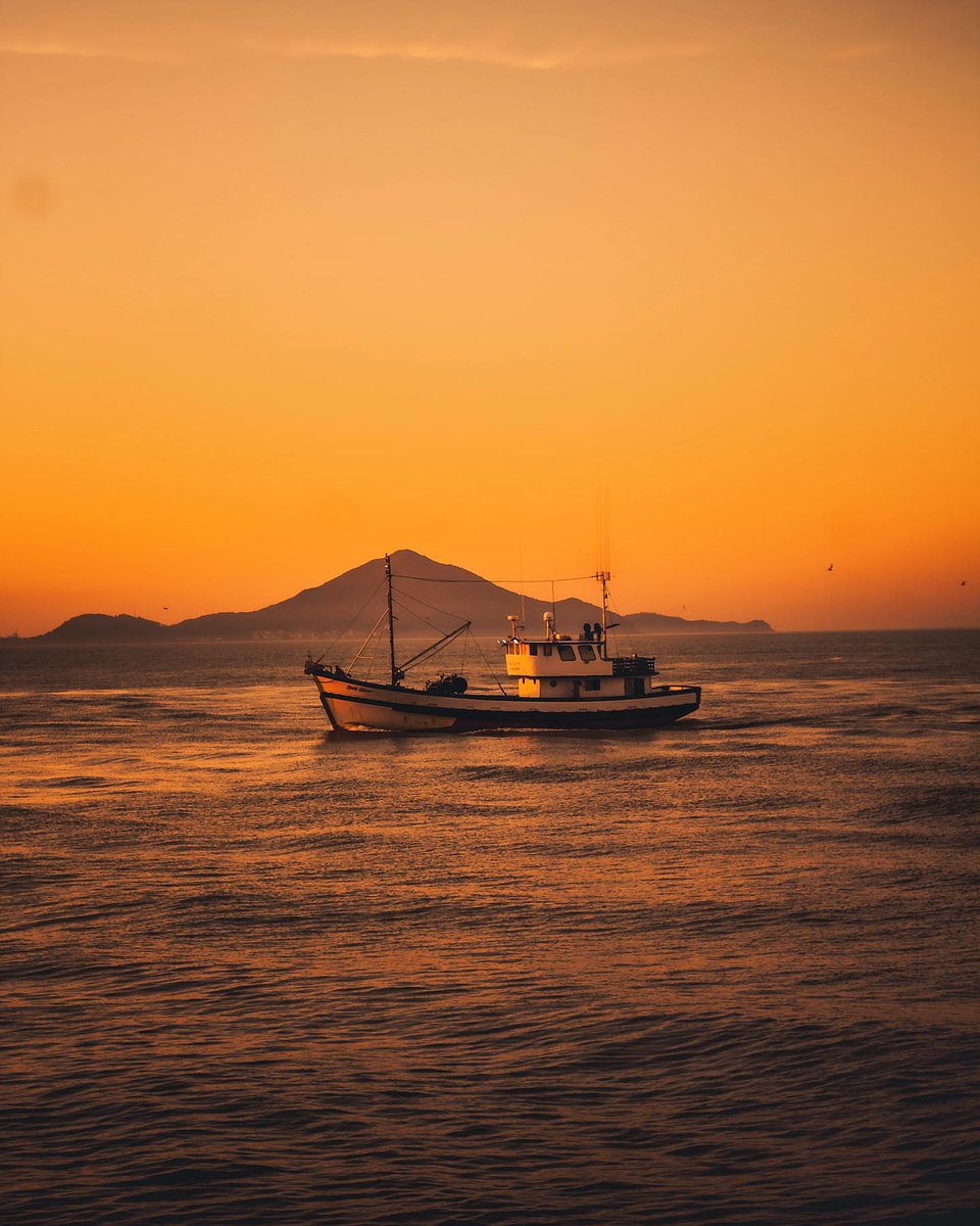 WeeDooConcierge's tweet photo. Let's go fishing???? Foto by Juste Noire
#segundou #BalnearioCamboriu #SantaCatarina #Brasil #ferias #Turismo #airbnb #BOOKINGS #LuxuryTravel #hotels #WeeDooConcierge https://t.co/tilEApwzSh