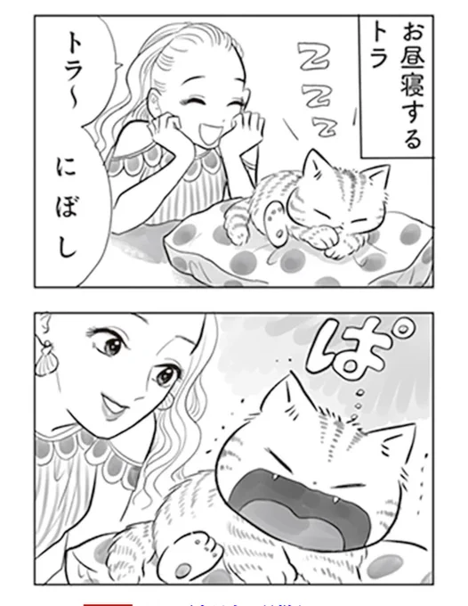 昼寝をからかわれたねこ、人間に恐ろしい逆襲をする‼️(1/2) 
