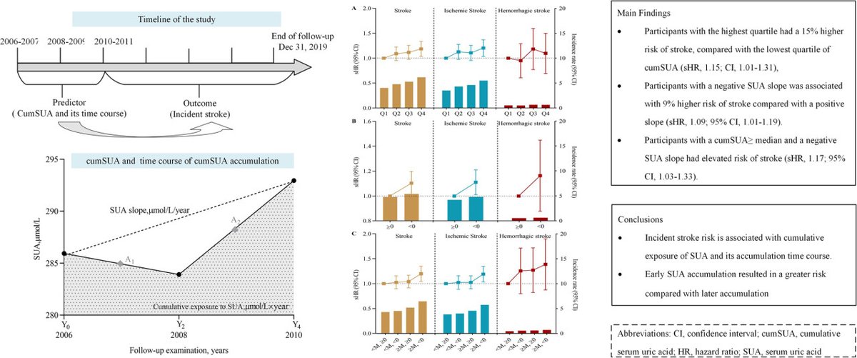 #STROKE Cohort study in China shows cumulative exposure to serum #UricAcid is associated with incident stroke, with early accumulation having the greatest risk. #AHAJournals ahajrnls.org/3JMUQnK