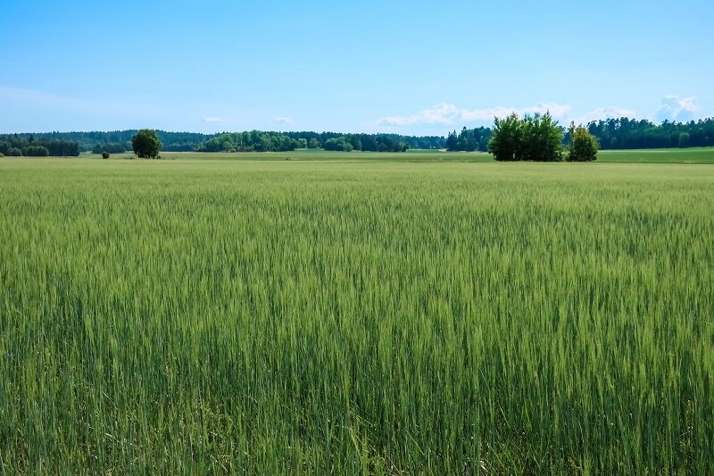 milesquarelabs's tweet image. Grass packaging and new construction materials plot more sustainable path for papermakers. Full article here: buff.ly/3NLlrCY #greentech #energy #papermakers #innovations