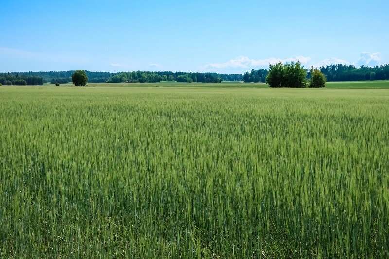 milesquarelabs's tweet image. Grass packaging and new construction materials plot more sustainable path for papermakers. Full article here: buff.ly/3NLlrCY #greentech #energy #papermakers #innovations