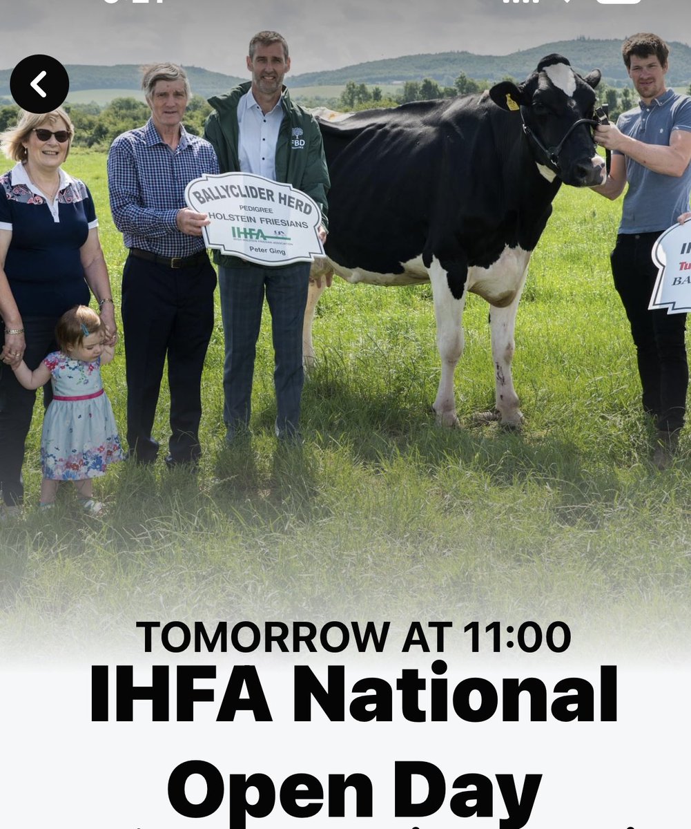 DavidClivestock's tweet photo. Don’t forget the IHFA open day in Peter Gings farm in Portlaois tomorrow. https://t.co/dK9AkT27n7