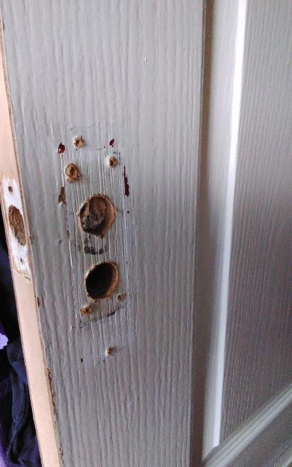 OFFER: 2 panel door wood white gloss (stalybridge SK15) ilovefreegle.org/message/100729…