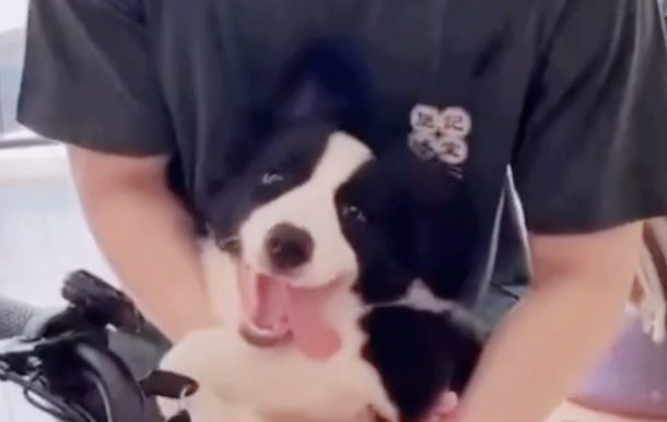 ꒰ เบบี้วอ ꒱♡︎₊sᴀᴍᴍᴇʀ🐶🚀 tweet media