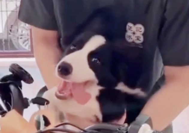 ꒰ เบบี้วอ ꒱♡︎₊sᴀᴍᴍᴇʀ🐶🚀 tweet media