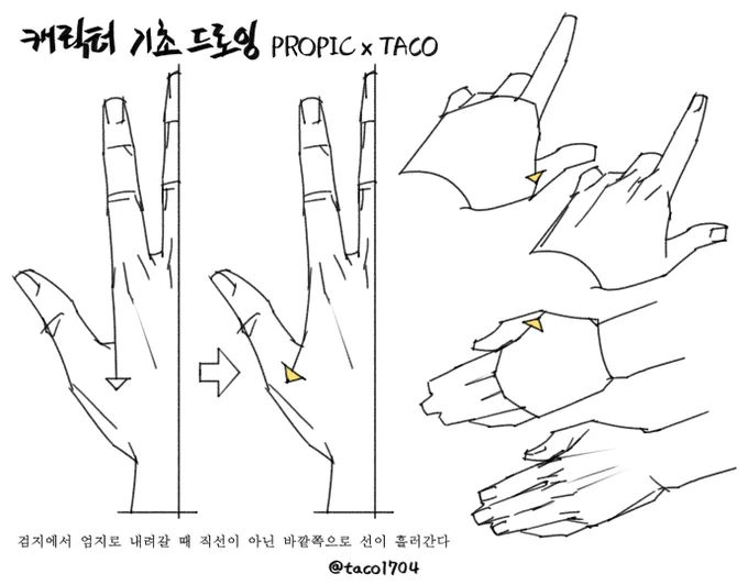 검지에서 엄지로 내려갈 때 직선이 아닌 바깥쪽으로 흘러간다