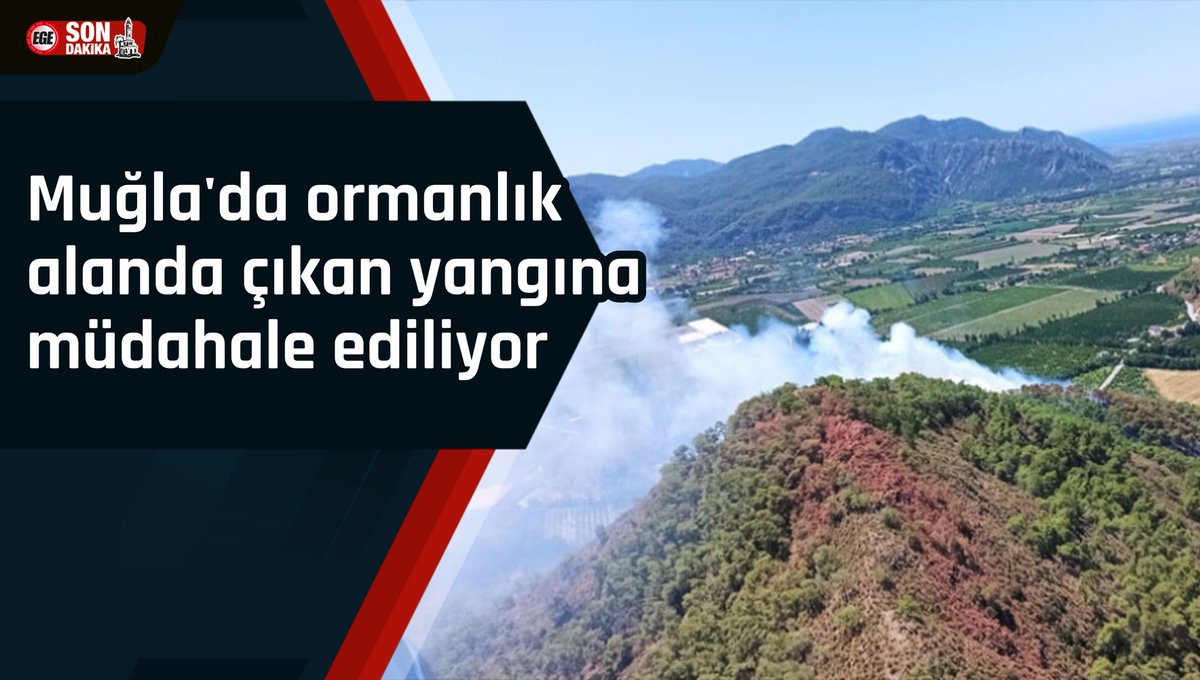 📌Ortaca ilçesinde ormanlık alanda çıkan yangın, kontrol altına alınmaya çalışılıyor.

egesondakika.com/c143-MUGLA/n21…

#muğla #muğlahaberleri #ortaca #yangın #orman #ormanyangını #muğlayanıyor #egesondakika