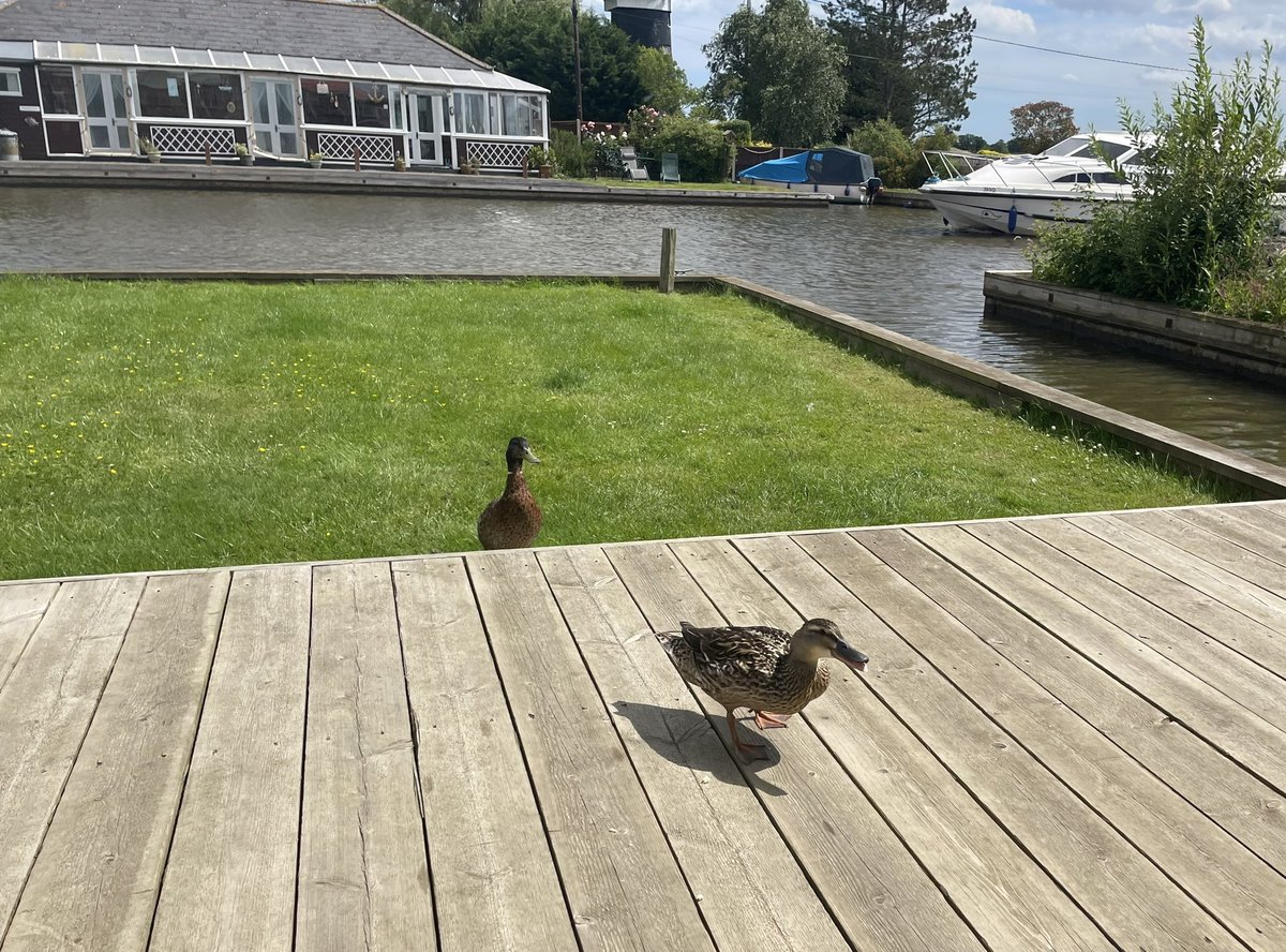 Thurne View tweet media