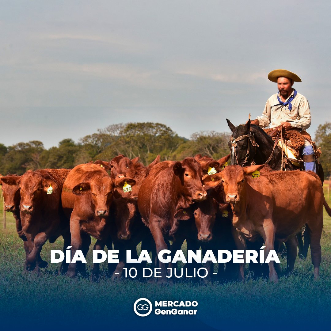 GenGanar's tweet photo. Hoy  celebramos el Día de la Ganadería, honrando la importancia vital de esta actividad en nuestra economía nacional. Agradecemos a todos los involucrados  por su compromiso y esfuerzo diario que contribuye significativamente al crecimiento y prosperidad de nuestras tierras🇦🇷🐂🌾 https://t.co/94odSYtxJH