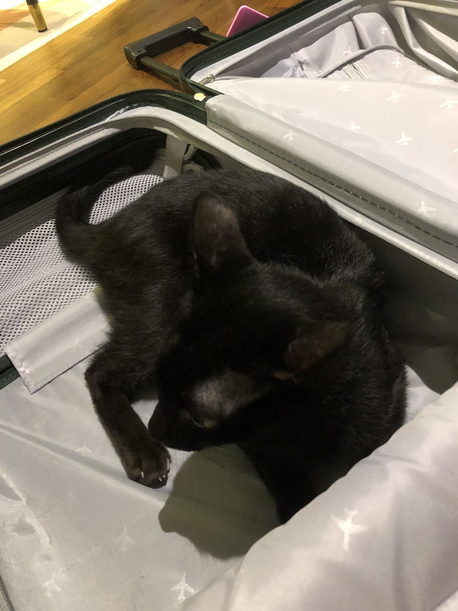 Only pack the essentials.