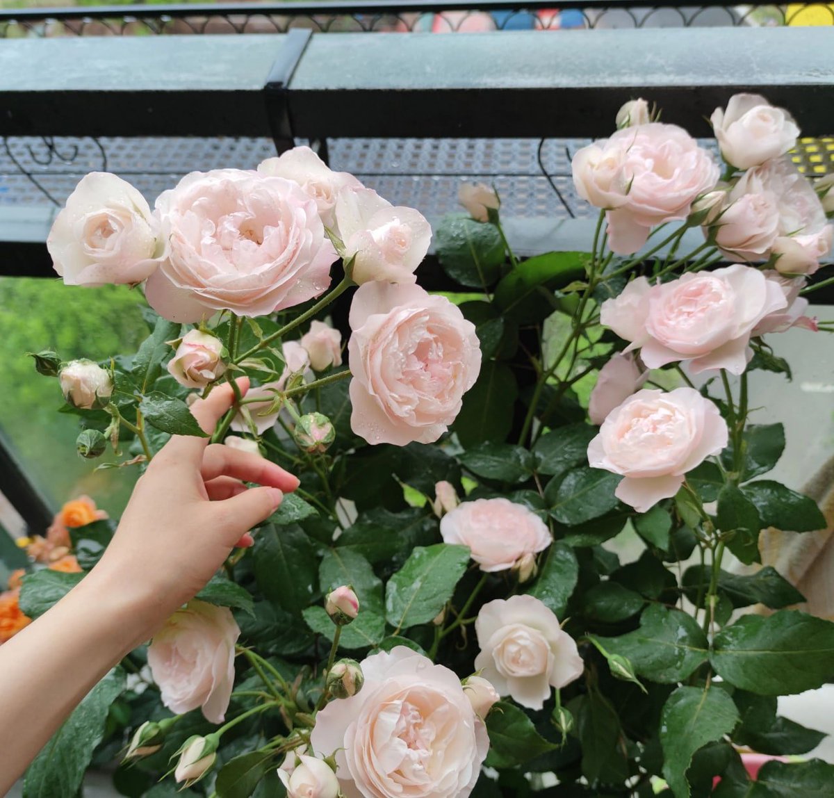 datemadd's tweet image. 