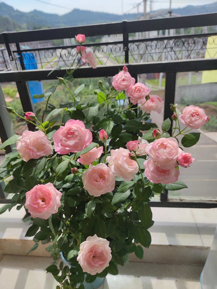 datemadd's tweet image. 