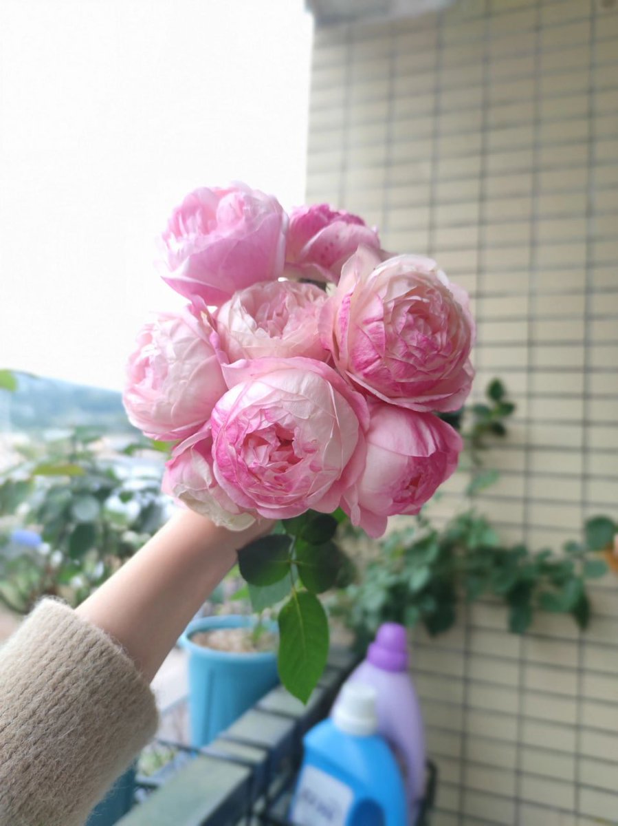 datemadd's tweet image. 